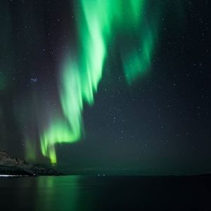 Meet your Posher, Edwin